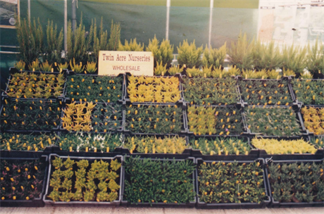 Twin Acre Nurseries Celebrates 50 Years at the Four Oaks Trade Show